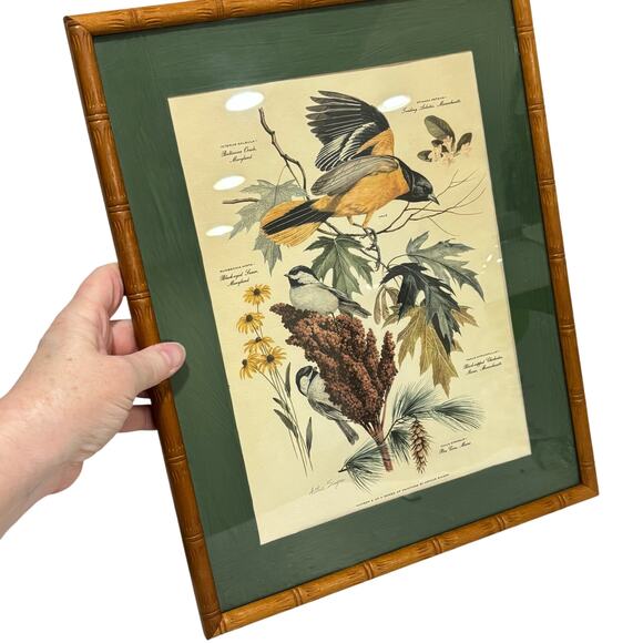 Vintage Arthur Singer framed art print #8 illustration Chikadee birds & flowers - Picture 10 of 10